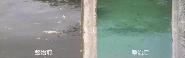 中南民大好在哪,中南民大官网新闻