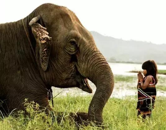 高端亲子旅行和一般亲子旅行差别,驴悦亲子