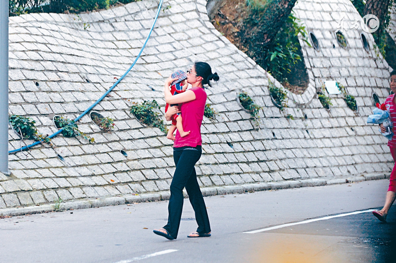 奶粉能代替纯奶吗,奶粉能代替蛋白质吗