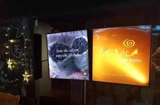 林和西还能出去吗 (林和西视频)