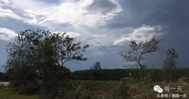 野外被蜈蚣蜇伤后应采取哪些措施,在家被蜈蚣咬最快解决方法