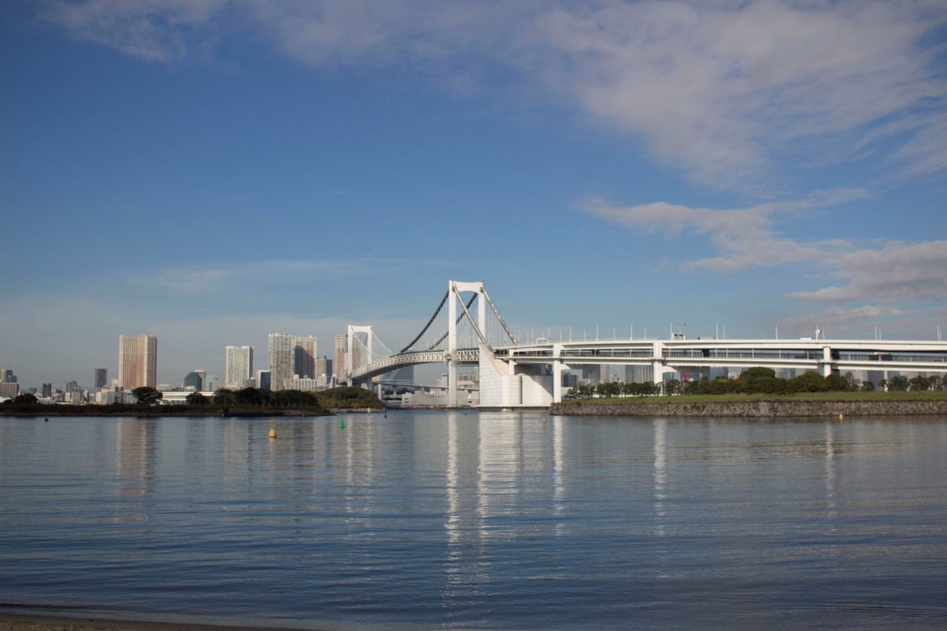 日本物语落樱下的邂逅,浪漫的日本物语