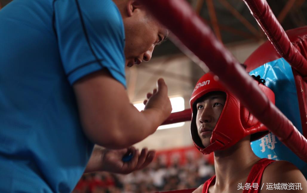 拳力以赴行动派综艺免费观看,山西第16届运动会拳击