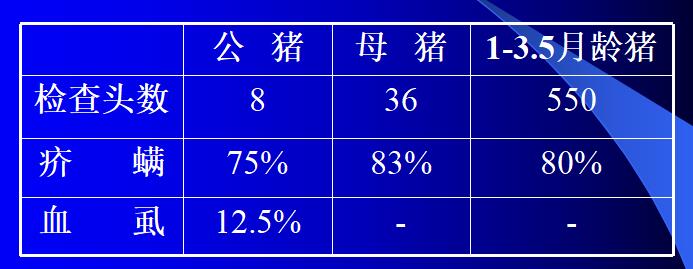 猪寄生虫对猪场的危害,猪寄生虫对母猪的危害