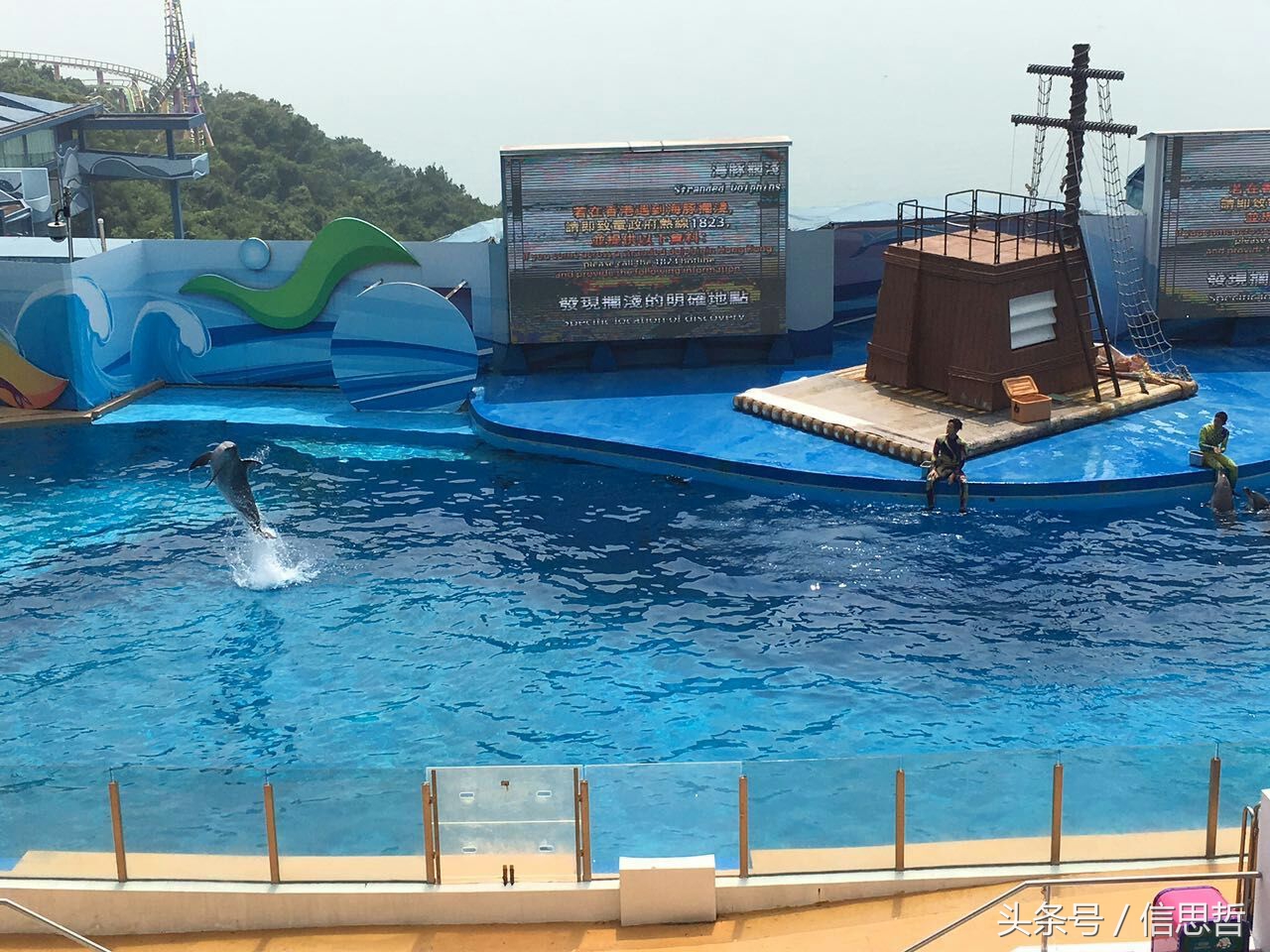 去香港旅游应该去哪玩,去香港旅游攻略最新消息