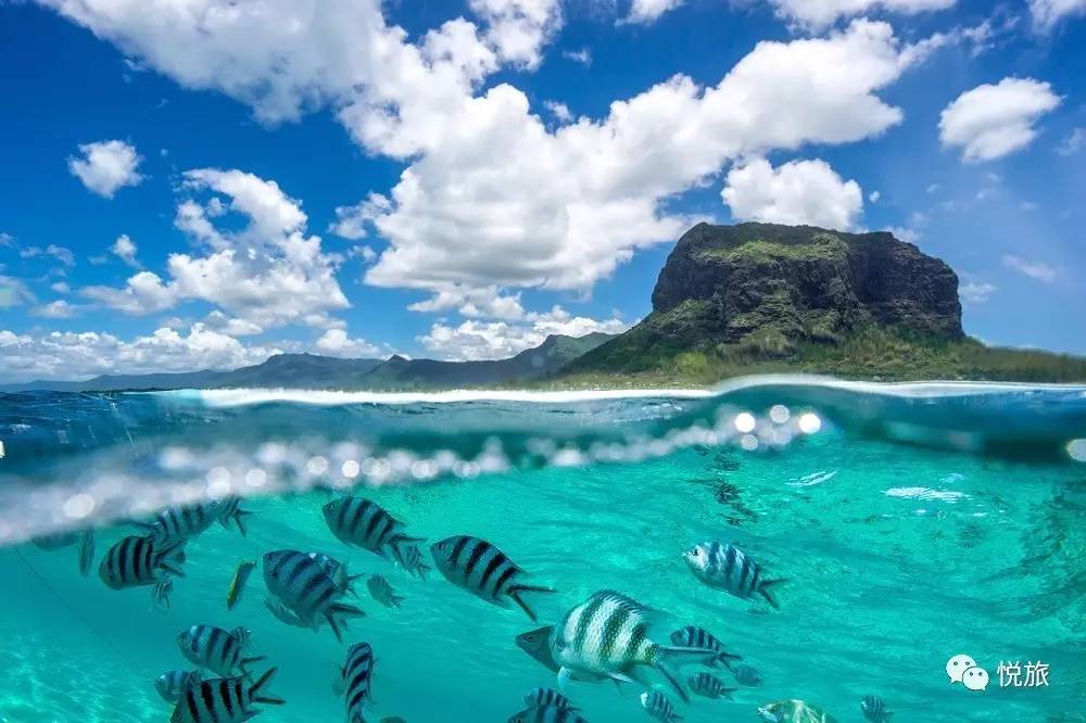 毛里求斯出境旅游攻略,刚去毛里求斯的人可以免签30天吗