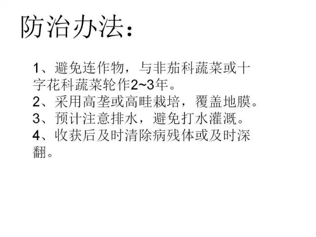 辣椒卷叶病虫害图谱及防治方案,辣椒病虫害大全