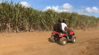 毛里求斯出境旅游攻略,刚去毛里求斯的人可以免签30天吗