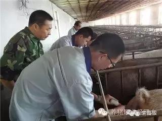 前沿医疗技术和治疗方法,二胎综合征的原因及解决方案