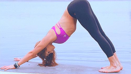 瑜伽老师练下犬式,瑜伽课时为什么每次都练下犬式