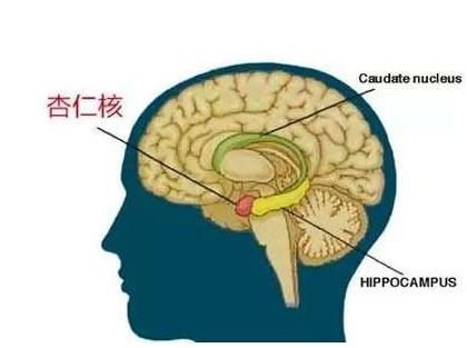 当人工智能机器人融入人类生活中,当机器人拥有感情会变得无比强大