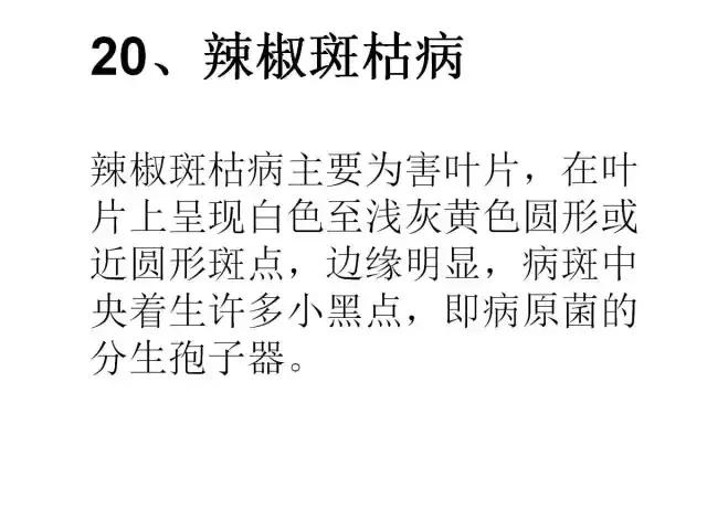 辣椒卷叶病虫害图谱及防治方案,辣椒病虫害大全
