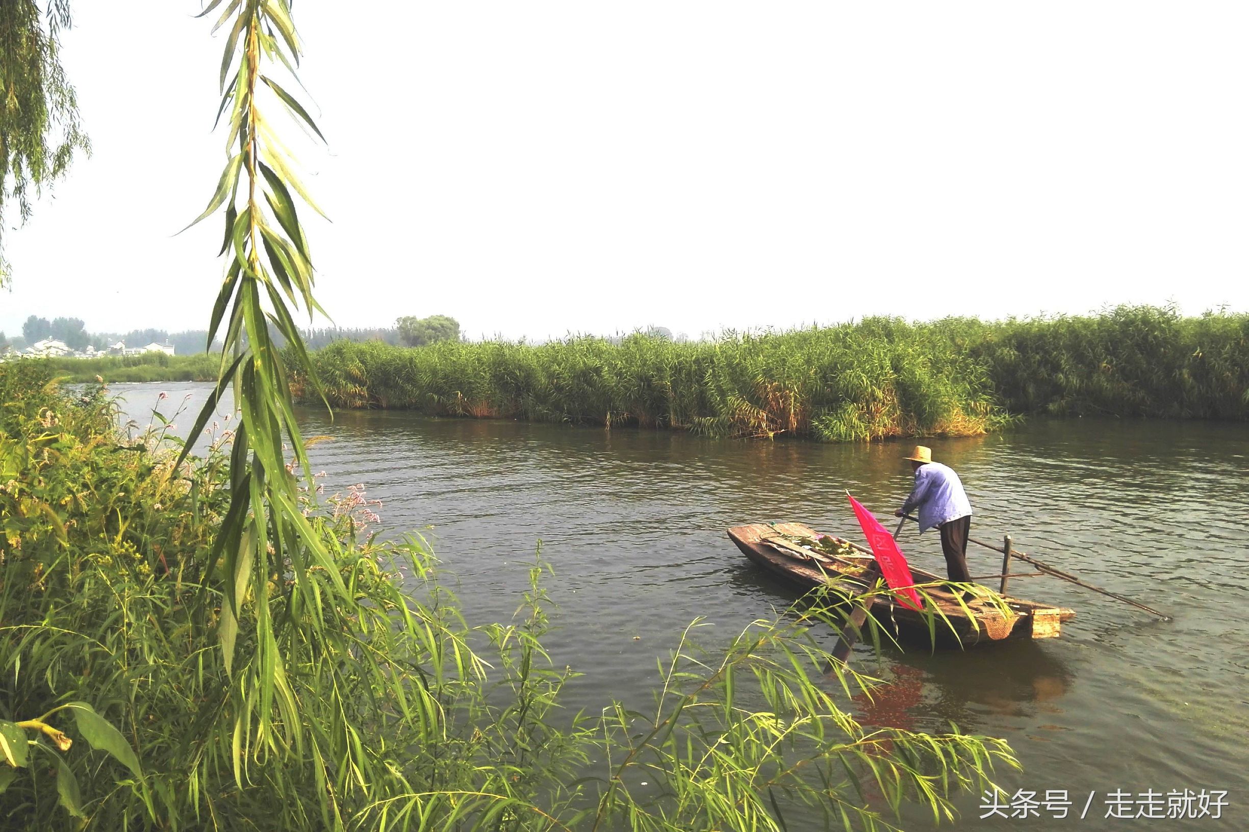 雄安新区白洋淀今日最新消息,雄安白洋淀近况