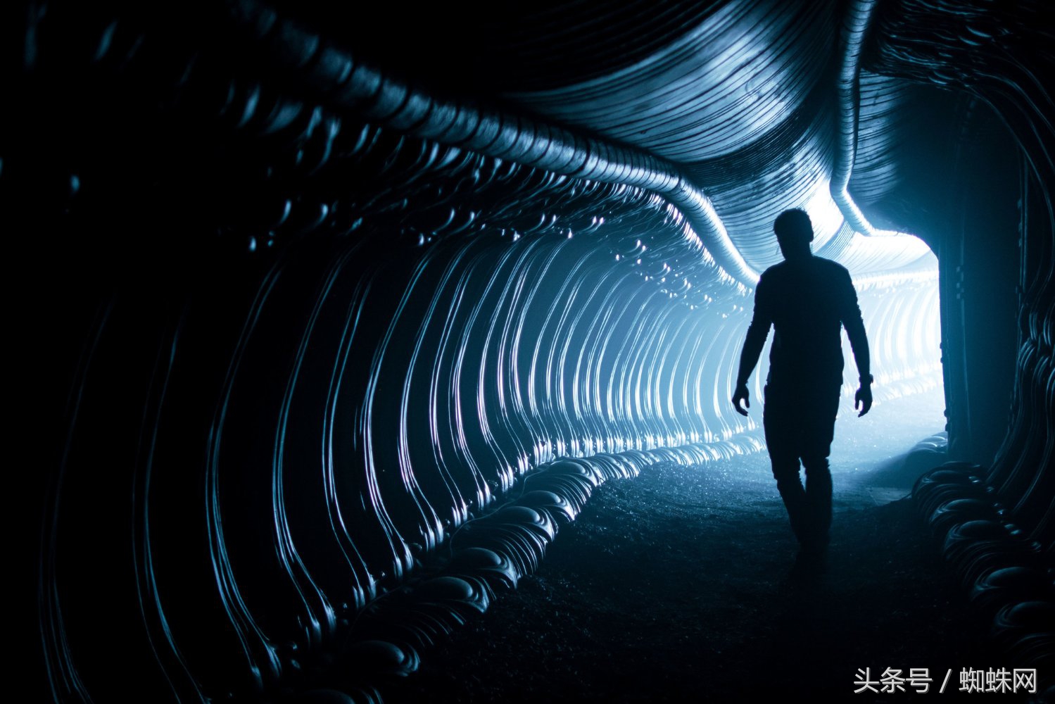 异形契约155分钟版多了些什么,异形契约删减部分解析