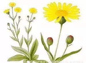 孩子牙龈上有洞牙龈出血怎么办,牙龈出血口腔科治疗方案