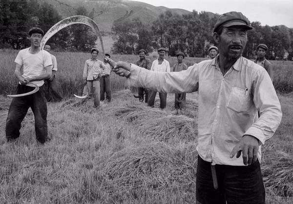 这个新西兰人用4个月走遍了中国,他镜头里的祖国你肯定没见过……