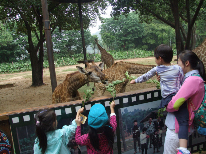 广州香港迪士尼一日游报团,长隆好玩还是迪士尼好玩