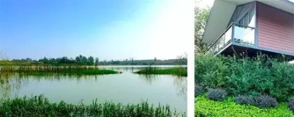 河南哪里适合自驾户外露营,自驾游住帐篷找营地