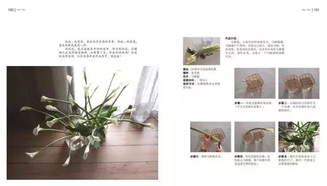学习插花真的有前途吗,在家看书插花