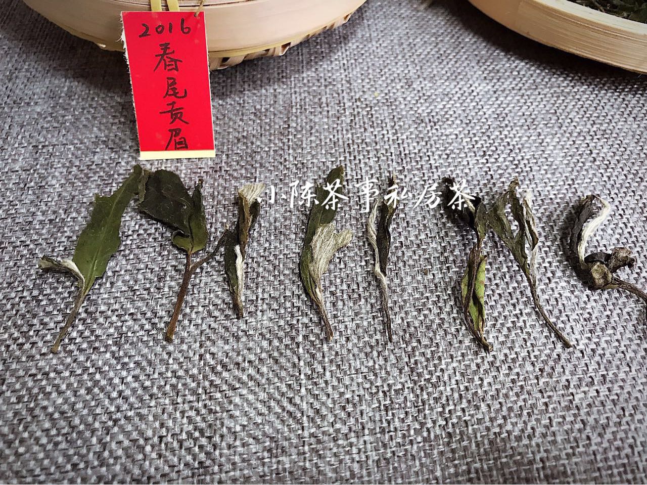 如何鉴赏一款新白茶寿眉,白茶寿眉和贡眉区别在哪