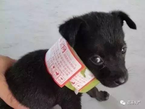 灰产如何规避打击,灰产处置