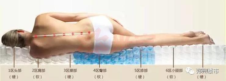 什么床垫需要1万块,什么品牌的床垫要8万块钱