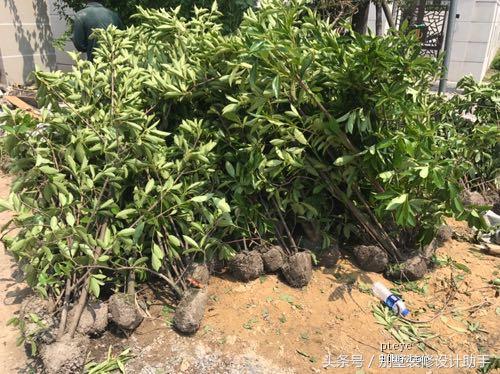 600平别墅装地源热泵,装修光伏太阳能阳光房