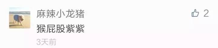 还有人记得自己qq第一个网名吗,你的第一个qq网名是什么