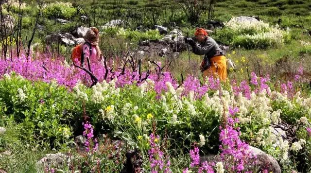 川西康定木格措,四川川西康定风景
