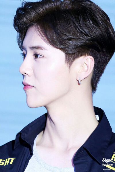 鹿晗勋章歌词壁纸图片,鹿晗关晓彤图片壁纸全屏