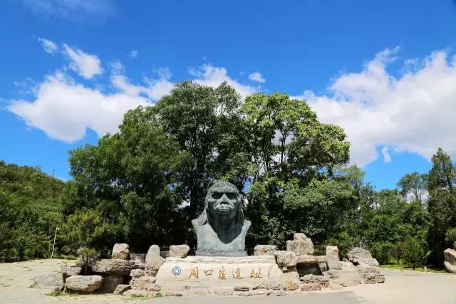 文化和自然遗产日2023年活动主题,文化和自然遗产日博物馆之夜