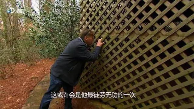 谷仓里找老车,谷仓里找老爷车