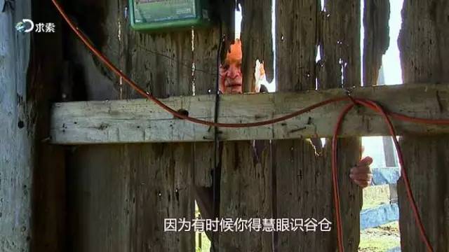 谷仓里找老车,谷仓里找老爷车