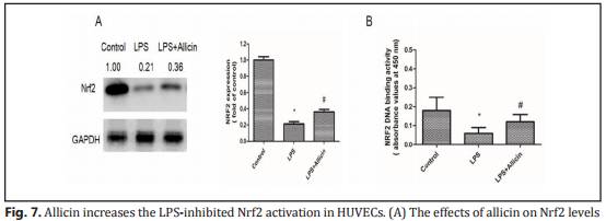 大蒜都上SCI,茅台改善肝癌也能上PlosONE,他们是怎么做到的?