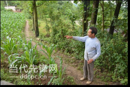 好干部刘宜铭,好干部标准范文