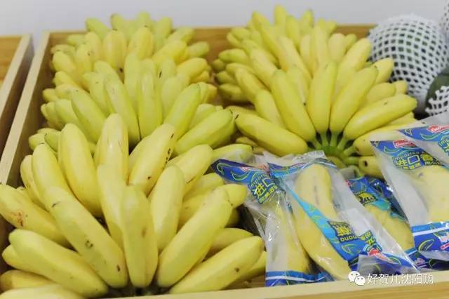 有好贺｜无公害蔬果产地直送、进口食品极速送货，沈阳购电商直营店开业啦！