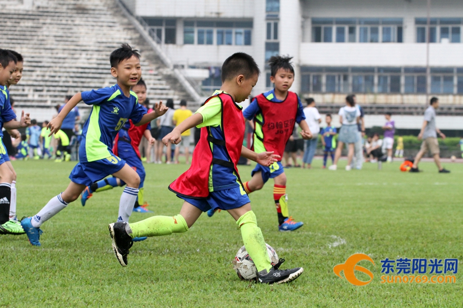 足球胜负怎么理解,如何做到足球胜负分析精准