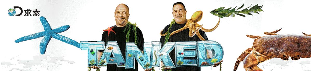 谷仓里找老车,谷仓里找老爷车