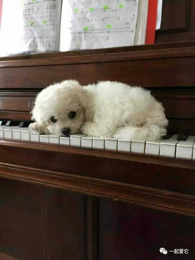 宠爱故事100个,宠爱剧情梗概