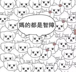 体育画报女模特图片,体育画报女郎图片