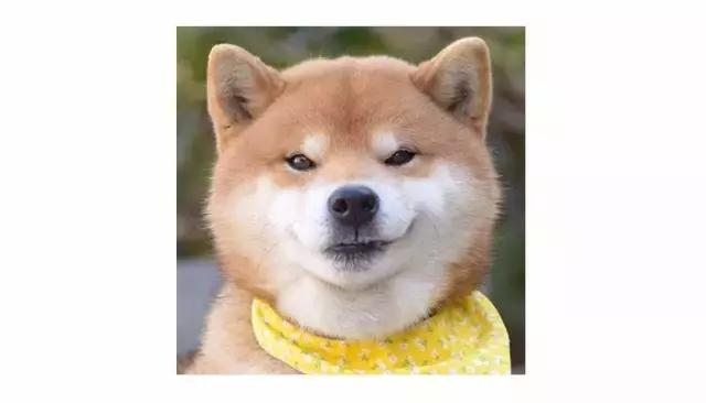 100左右的名牌包包推荐,100元以内最好看的包包