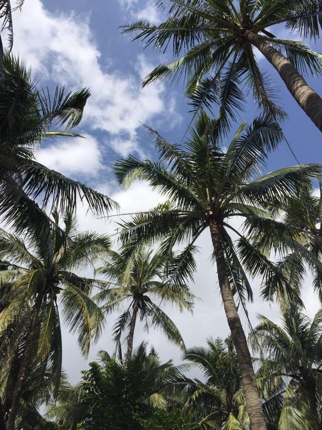 去过三亚旅游的感觉三亚怎么样?