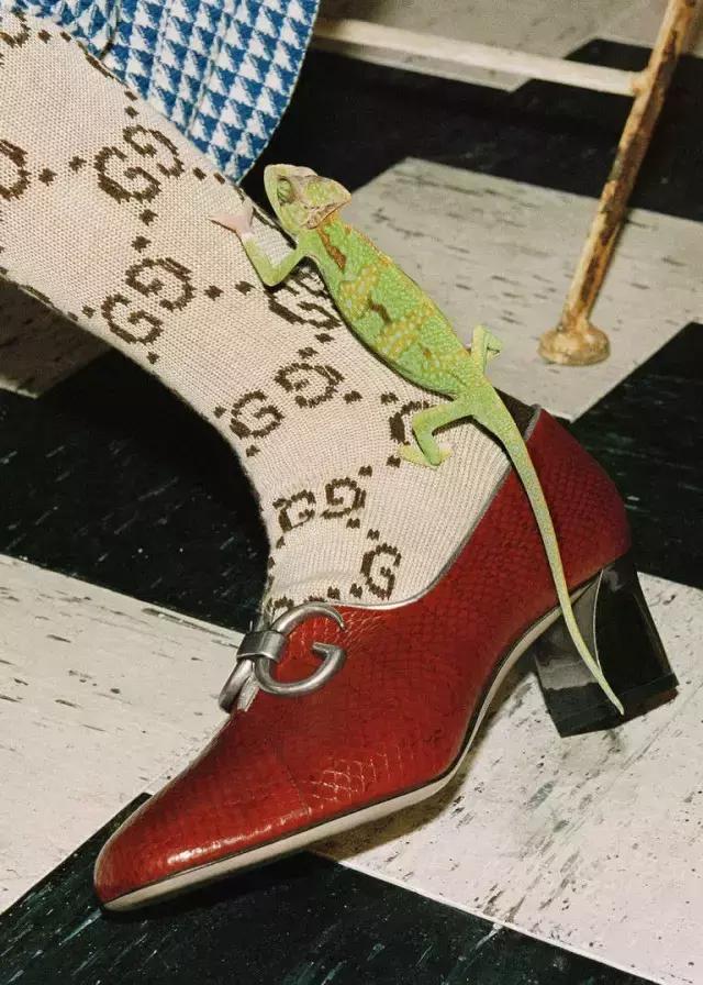 gucci华丽复古,gucci惊艳时尚圈
