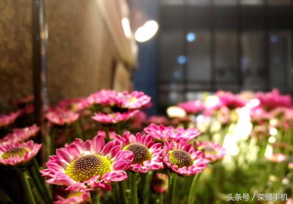 与你相遇是我人生中最美的旅途,最美的旅程完整版