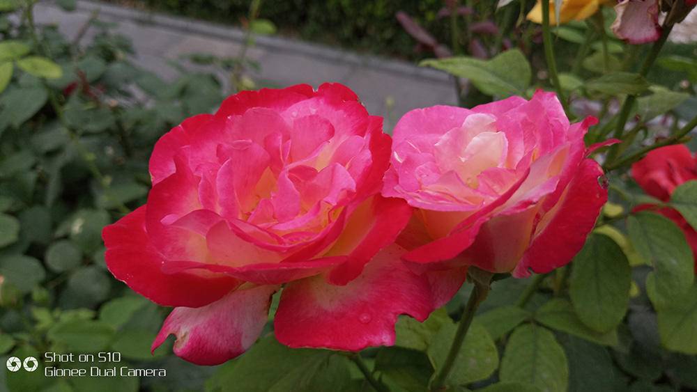 金立s10玩游戏测评,金立S10有什么特点