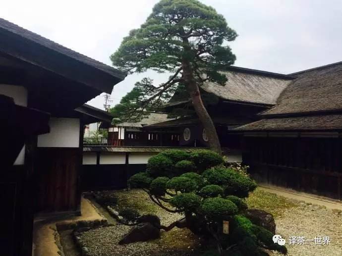 找茶旅记-日本找茶记之飞弹高山，体验最原汁原味的日本！