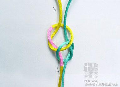 东东画眉鸟套之各种好看实用的绳套你了解吗？