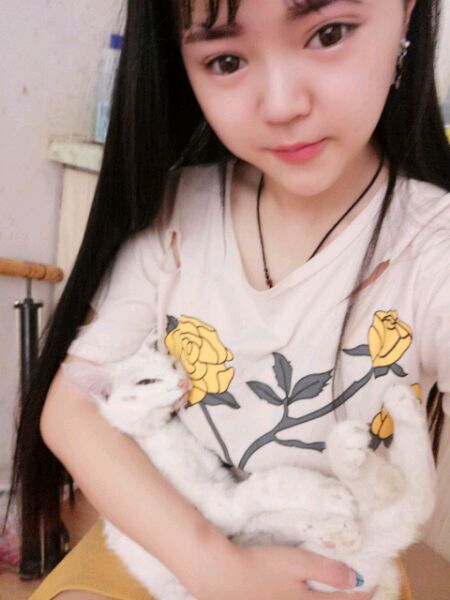 小奶猫严重拉稀不吃东西怎么办,没满月的小奶猫拉稀怎么办