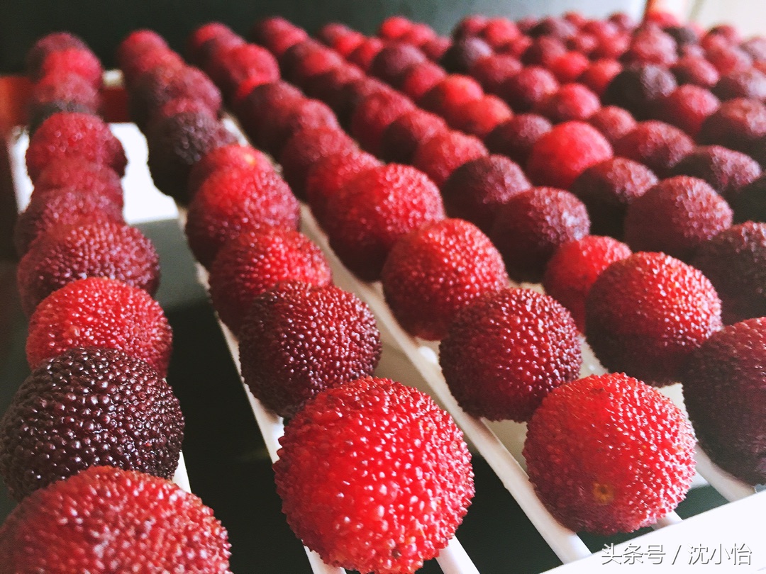 杨梅吃不完怎么腌制,家里杨梅太多又不怎么甜怎么办