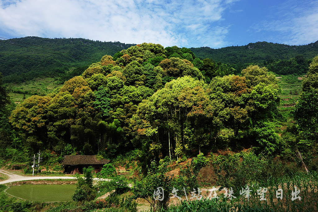在中国的传统节日,去酉阳感受土家民俗文化